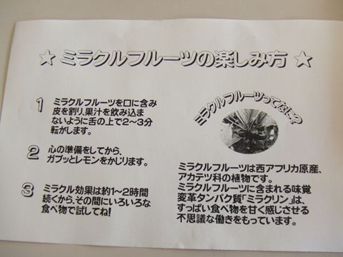 DSCF3114_R.jpg
