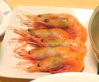 本物のボタンエビ