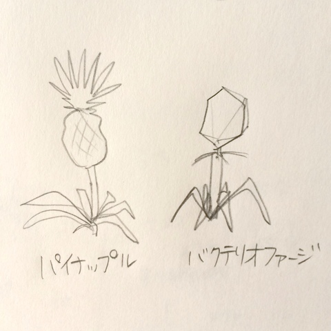 2015-08-27 08.06.54